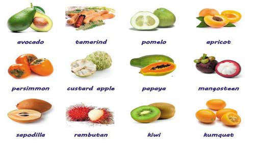 Tên tiếng Anh một số loại trái cây.