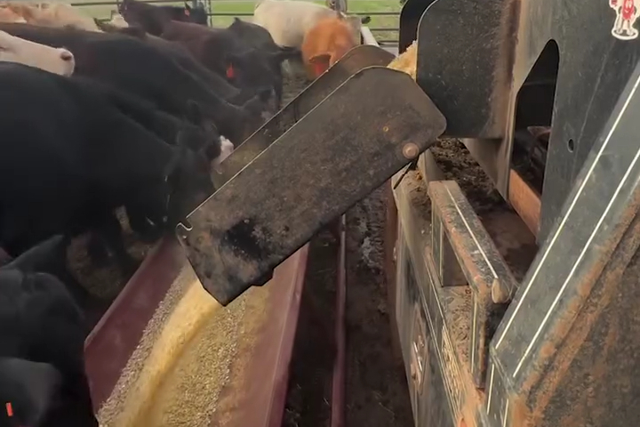 Làm Nông Kiểu Truyền Thống