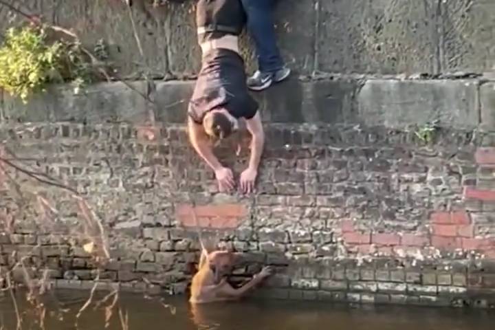 Attempting to Rescue Dog from Canal