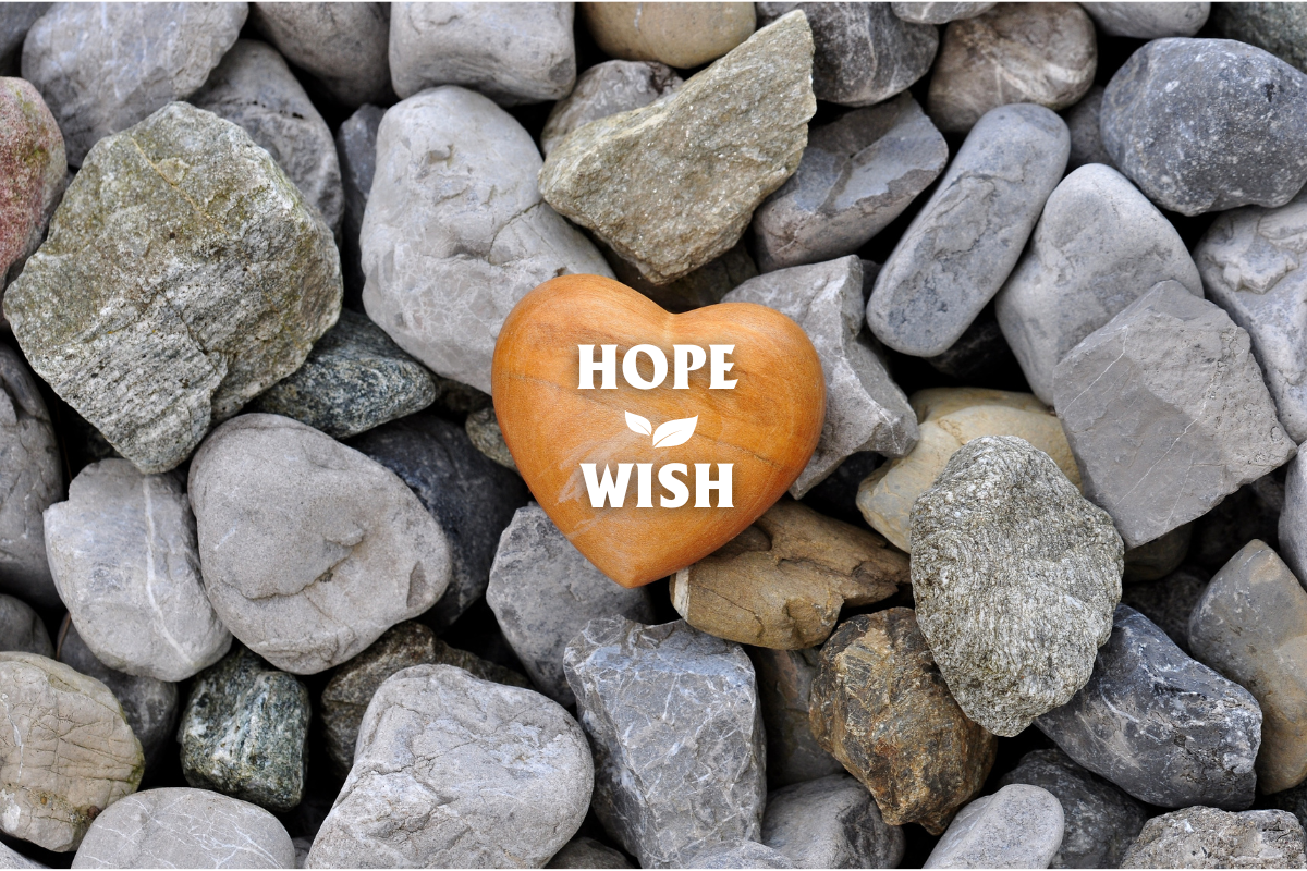 Cách phân biệt "hope" và "wish" khi nói về mong ước