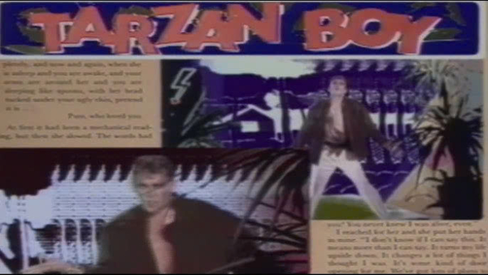 Lời dịch Tarzan Boy - Baltimora - ảnh 2