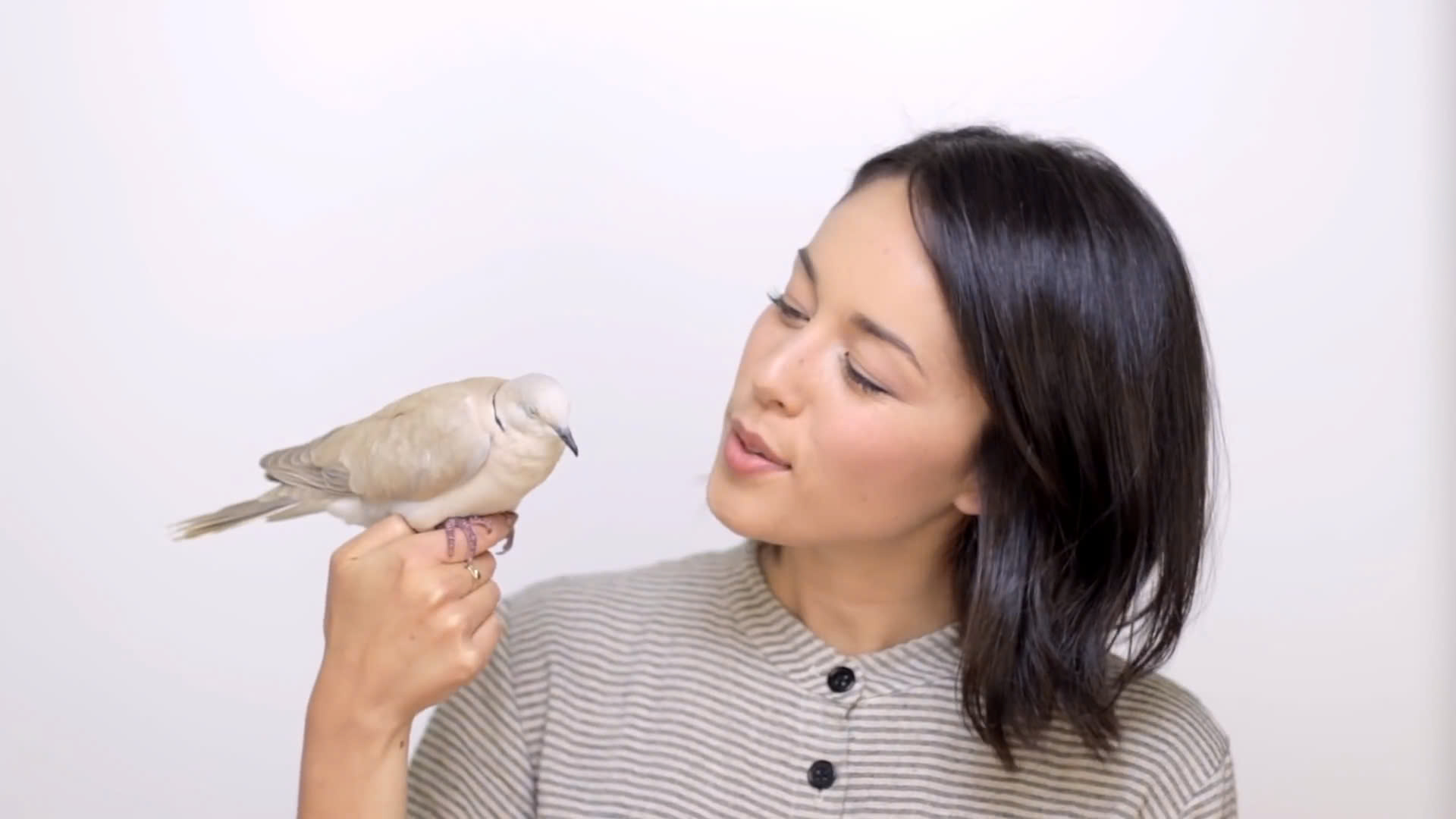 Lời dịch Birdsong - Kina Grannis