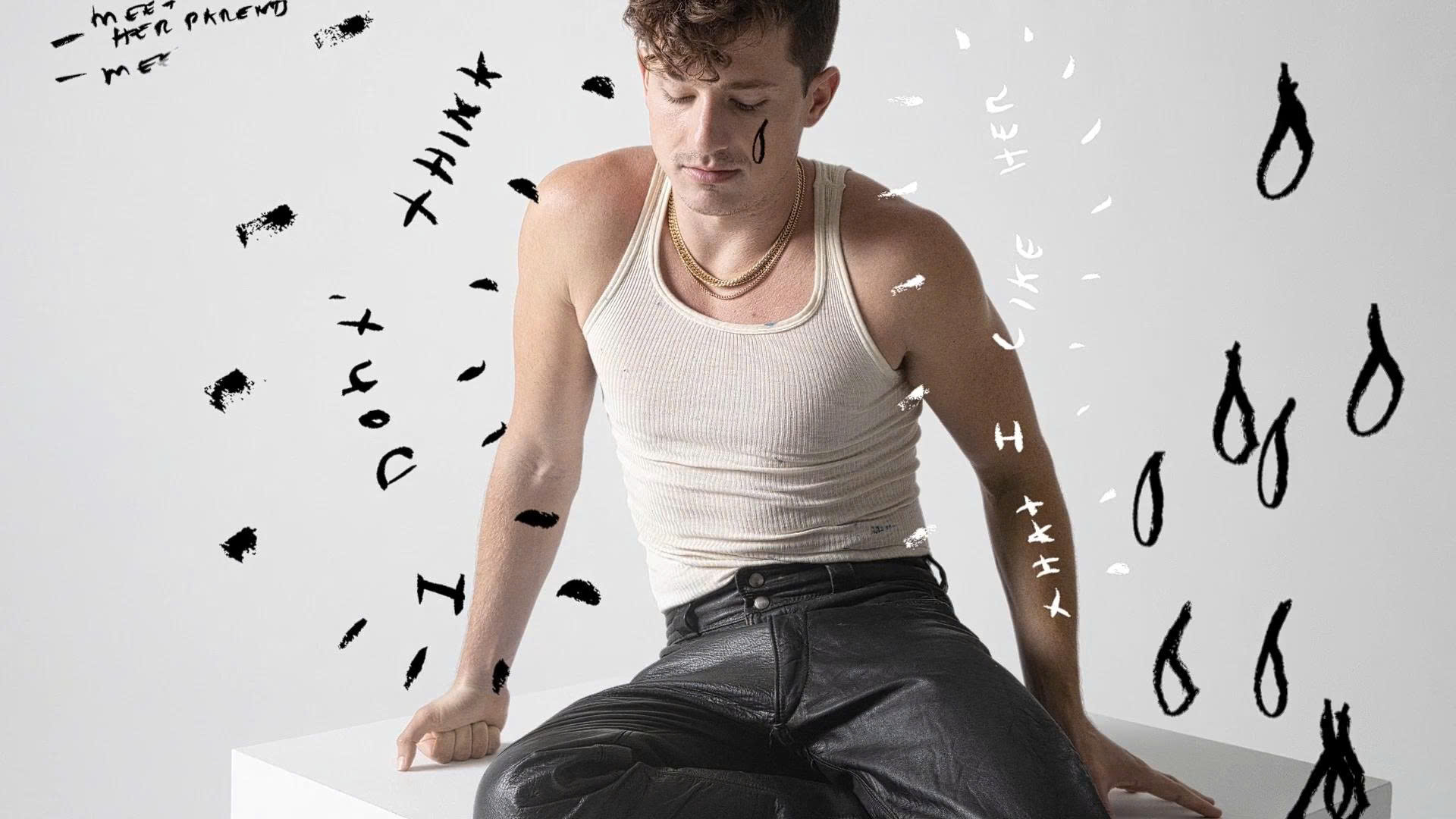 Lời dịch I Don’t Think That I Like Her - Charlie Puth