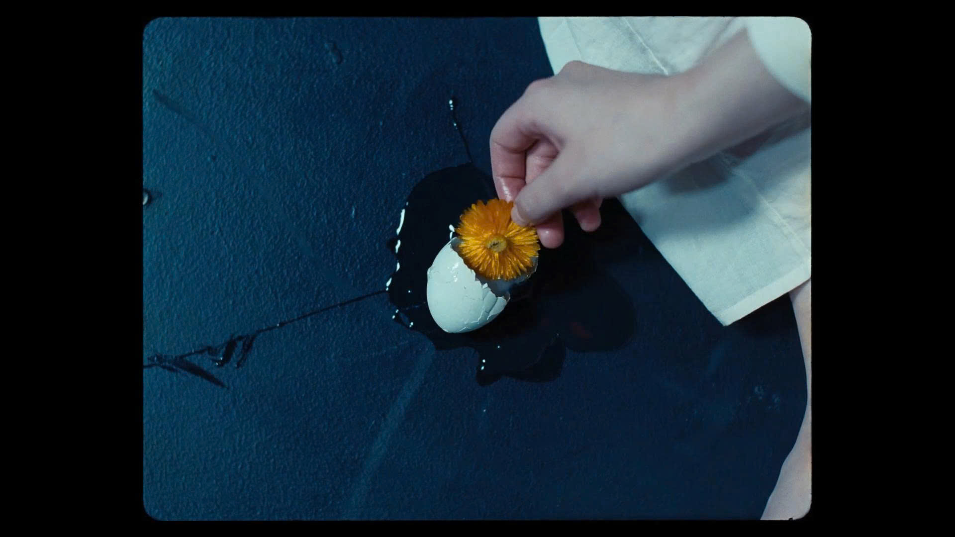 Lời dịch My Love Mine All Mine - Mitski