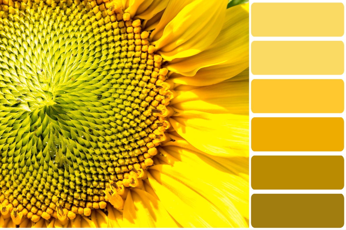 yellow color palette