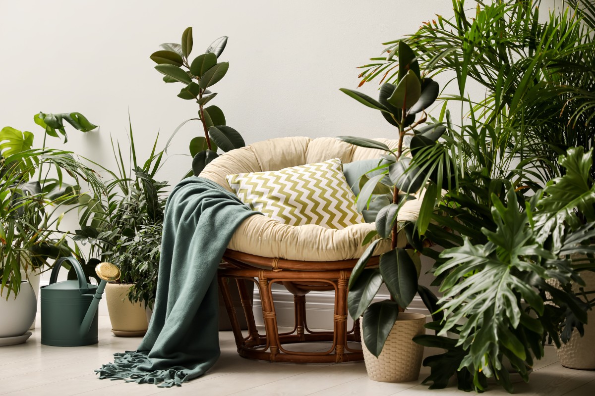 Papasan chair