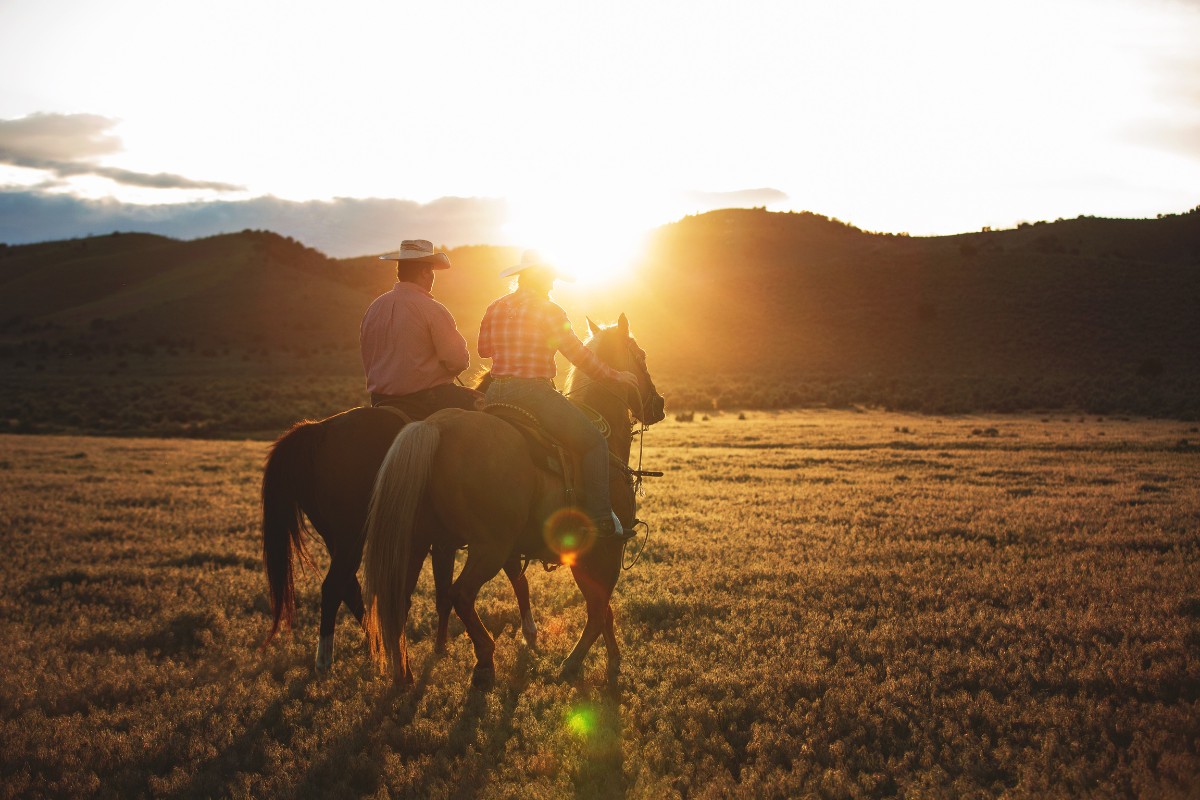 Into the sunset