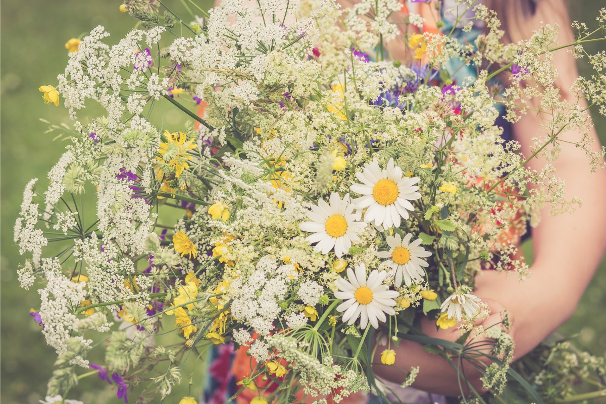 Midsummer