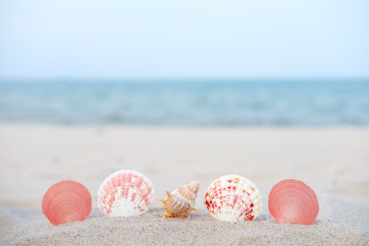 Mollusks