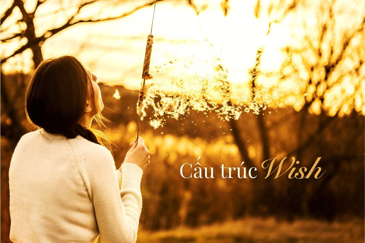 Cấu trúc Wish trong Tiếng Anh