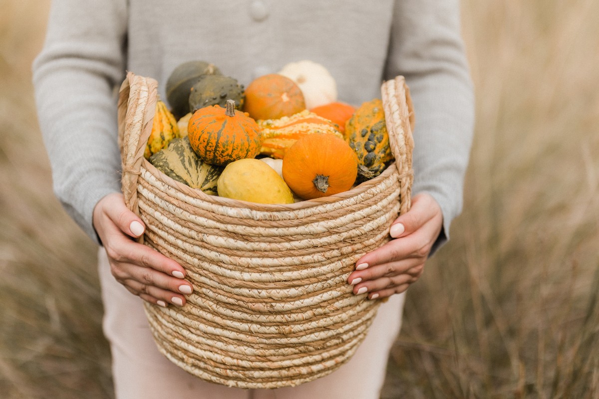 Harvest time