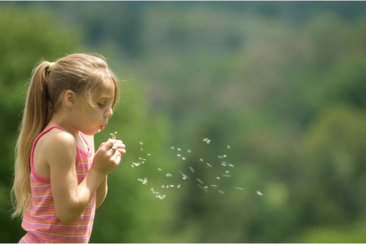 Litle Wishes