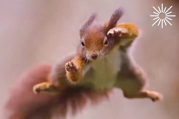 Moments With Nature’s Most Majestic Creatures