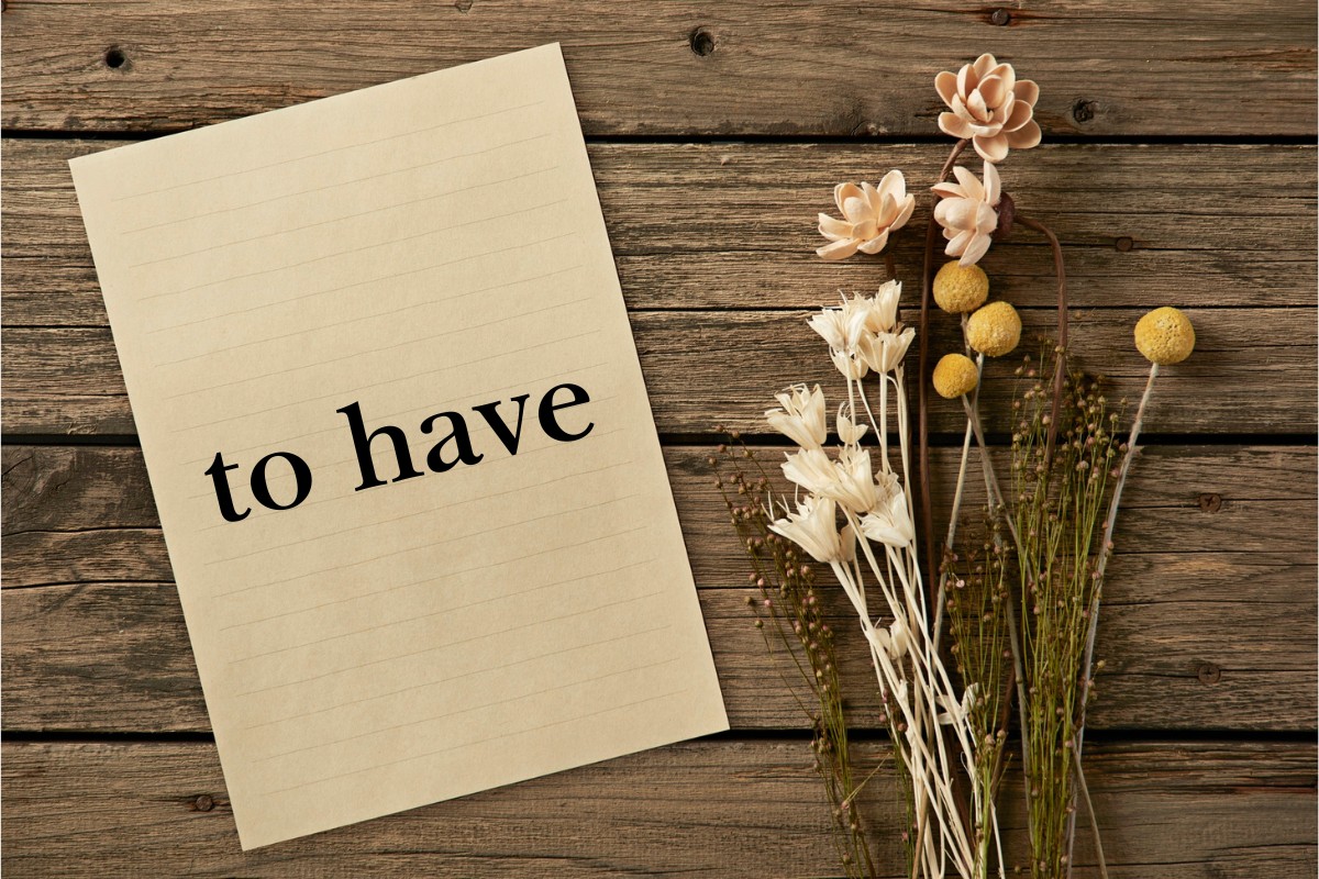 10 cấu trúc câu với "to have"