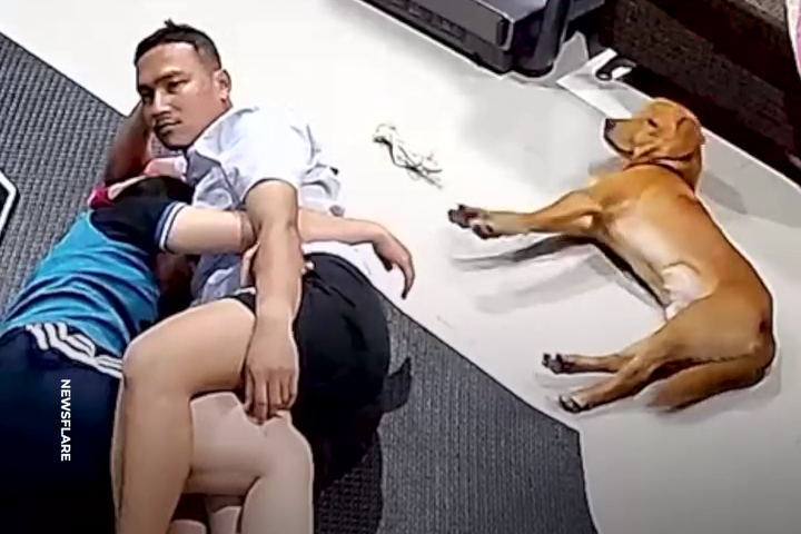 Chú Chó Ghen Tị Không Cho Chủ Ôm Nhau