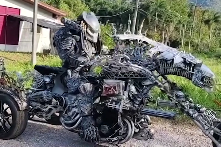 Predator Tan Ca Sau Một Ngày Làm Việc