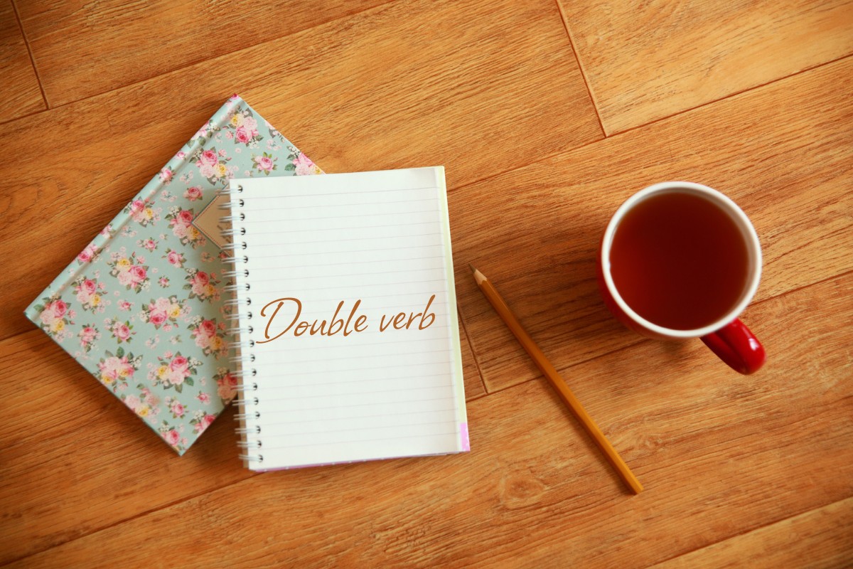 Lỗi double verb trong Tiếng Anh là gì?