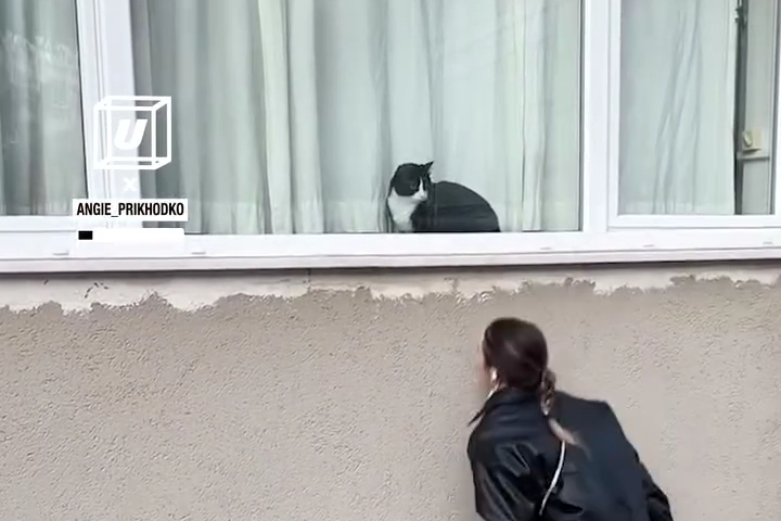 Chơi Trốn Tìm Với Người Bạn Ở Istanbul