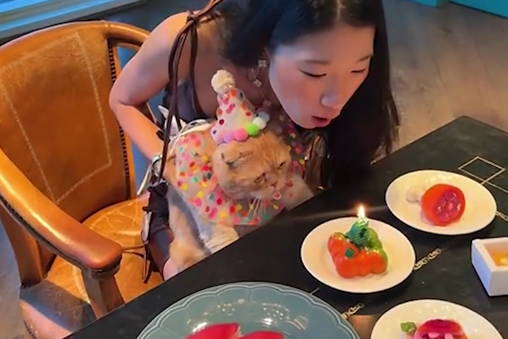 Tiệc Sinh Nhật Sang Chảnh Của Mèo Nhà Tôi