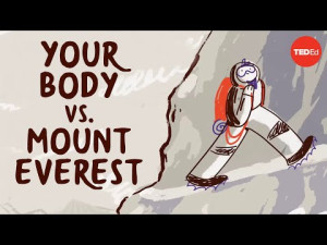 Điều gì sẽ xảy ra nếu bạn ở đỉnh của núi Everest - Andrew Lovering