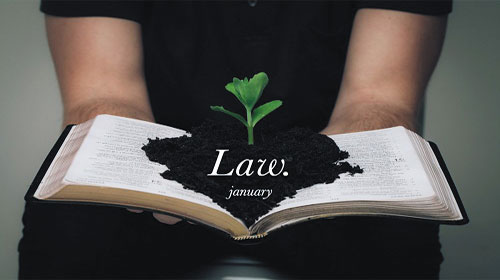 Phát luật của cuộc sống - The law of life
