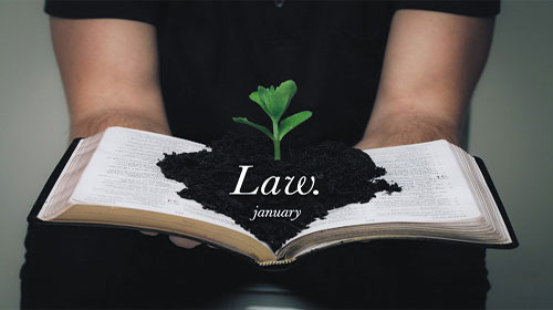 Phát luật của cuộc sống - The law of life