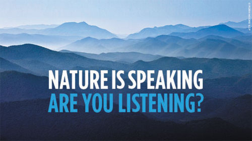 Nature Is Speaking – Thiên nhiên lên tiếng 11 – Phụ đề song ngữ