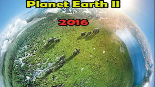 Planet Earth II – Hành Tinh Xanh II – 3 – Phụ đề song ngữ